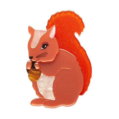 Cheeky Squirrel Brooch  -  Erstwilder  -  Quirky Resin and Enamel Accessories